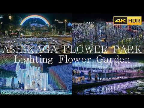 4K HDR あしかがフラワーパーク 日本三大イルミネーション Japan Christmas lights | Ashikaga Flower Park 2023-2024 光の花の庭