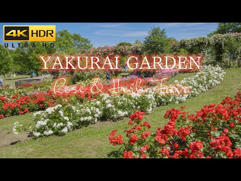 4K HDR | Japan Beautiful Rose Flower Garden | やくらいガーデン ローズ &amp; ハーブフェア 2020 Yakurai Garden 宮城 観光名所