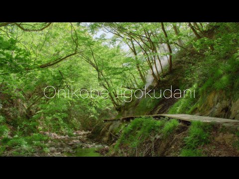 新緑の鬼首地獄谷遊歩道 5K Tohoku Japan Volcanic natural springs &amp; Onikobe Fresh green 岩場から温泉が噴き出す風景