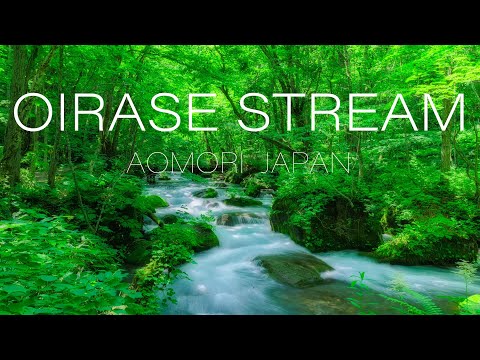 奥入瀬渓流 新緑の風景 4K Fresh Green Oirase Stream Beautiful nature in Aomori Japan 青森の観光名所 自然音 Relax Sounds