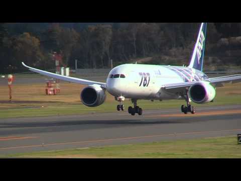全日本空輸B787福島空港復興応援フライト ANA Boeing 787-8 Dreamliner Fukushima Airport Revival Flight