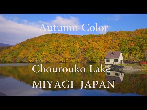 4K Japan Beautiful Autumn Leaves | 長老湖の紅葉 Chourou Lake in Tohoku 東北の秋の風景 自然散策 宮城・七ヶ宿 Nature