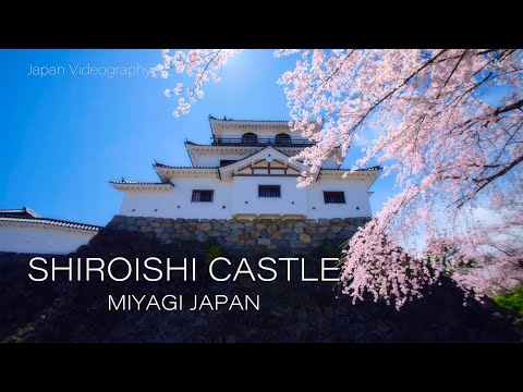 白石城の桜 4K Shiroishi Japanese Samurai Castle &amp; Cherry Blossoms, 戦国武将片倉小十郎の居城 宮城春の観光名所