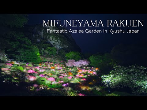 御船山楽園のツツジ Kyushu Japan 4K Fantastical Azalea Flower Garden Mifuneyama 佐賀の花まつり 武雄温泉の絶景