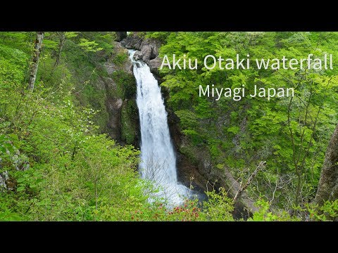 秋保大滝の新緑 Sendai Japan 4K Fresh Green Leaves Landscape of Akiu Waterfall 宮城観光 杜の都仙台の風景