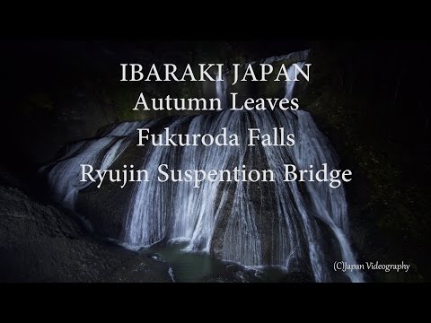 袋田の滝 紅葉ライトアップ Japan 4K Fukuroda Waterfall Lit Up &amp; Ryujin Big Suspension Bridge 竜神大吊橋 Ibaraki Travel
