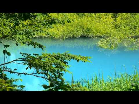 神秘的な絶景 五色沼 Goshikinuma | Amazing colors Pond | Nature in Fukushima Japan 福島の観光名所 裏磐梯の自然風景 Landscape