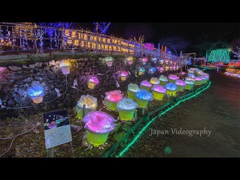 イルミネーション コダナリエ Japan 8K Yamamoto Beauty of Hand made Christmas Lights | Kodanarie 宮城の冬の風物詩