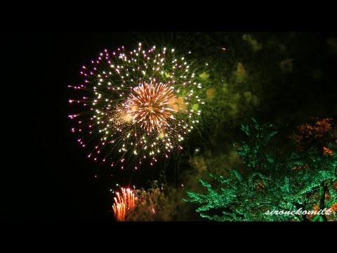 涌谷城 夜桜花火大会 Japan Wakuya Castle Night Cherry Blossoms Fireworks Festival 2013 わくや桜まつり 花の名所 宮城観光