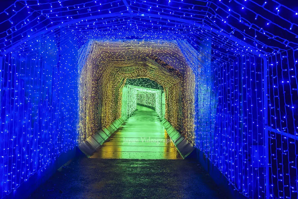 さがみ湖イルミリオン 光のトンネルエリア