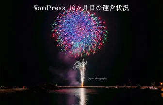 WordPress ブログ記事を書き始めて10ヶ月目のアクセス数や収益は？