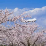 世界中の飛行機と美しい桜が楽しめる名所！成田市さくらの山公園｜千葉県成田市