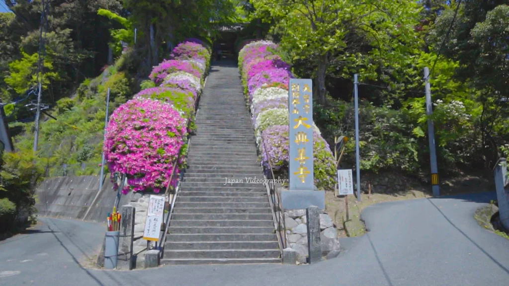 つつじ寺・大興善寺 契園 躑躅の花咲く階段の風景