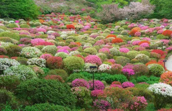 九州地方佐賀県武雄市の観光名所 御船山楽園の花まつり