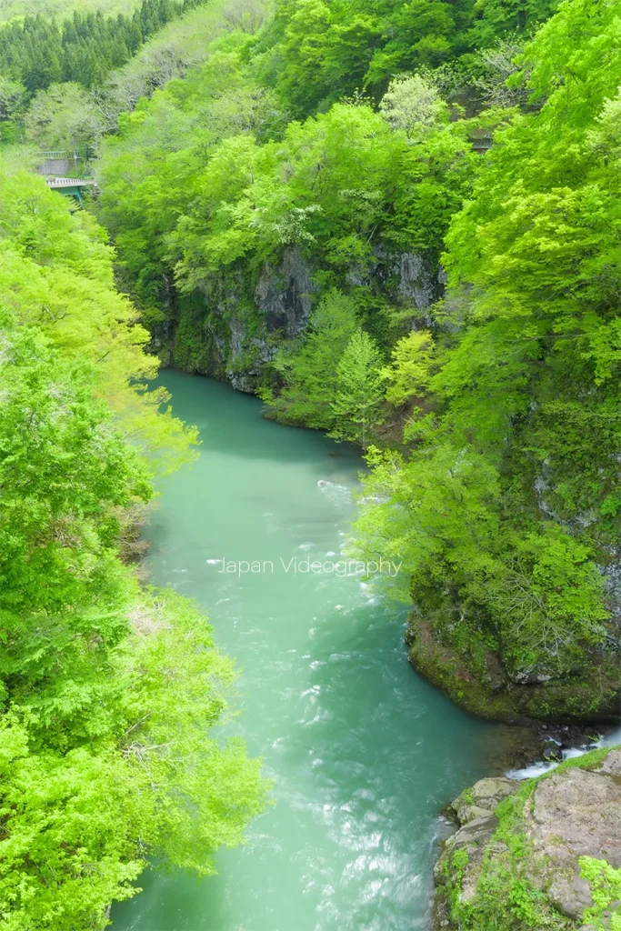 道の駅月山梵字川の風景と亀の滝