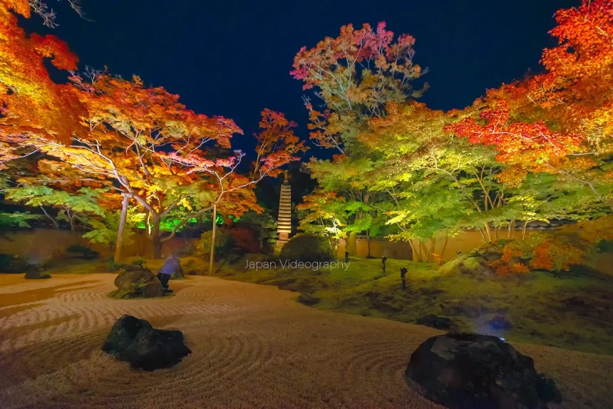 松島・円通院庭園 紅葉ライトアップ 石庭