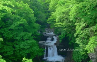 宮城県仙台市 鳳鳴四十八滝と新緑の風景