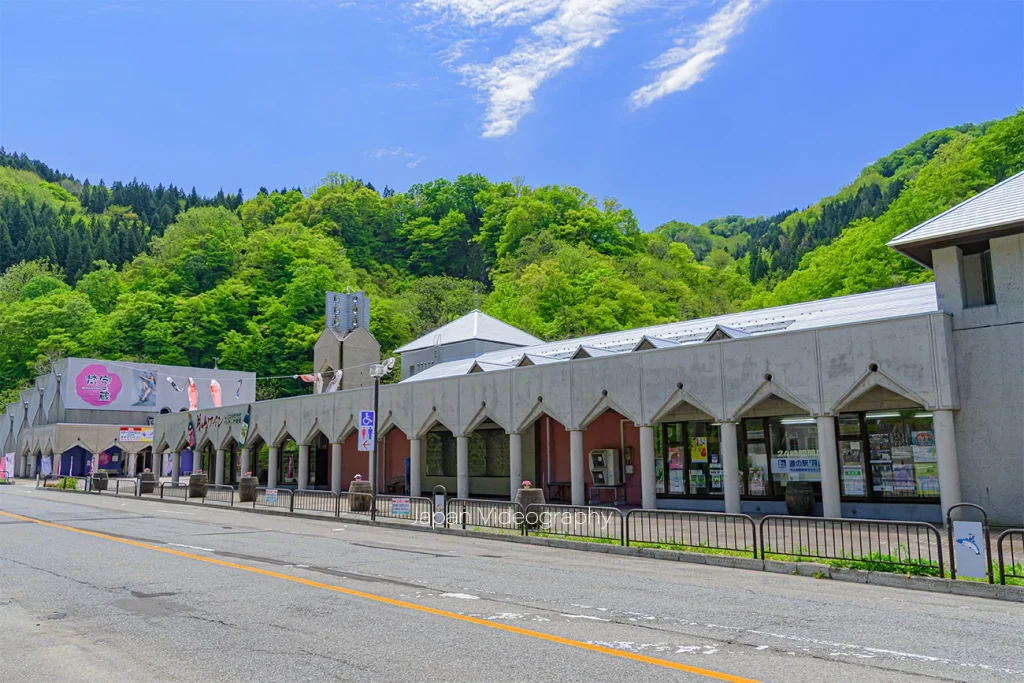 山形県道の駅 月山と新緑の風景