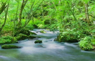 青森県 奥入瀬渓流の美しい風景