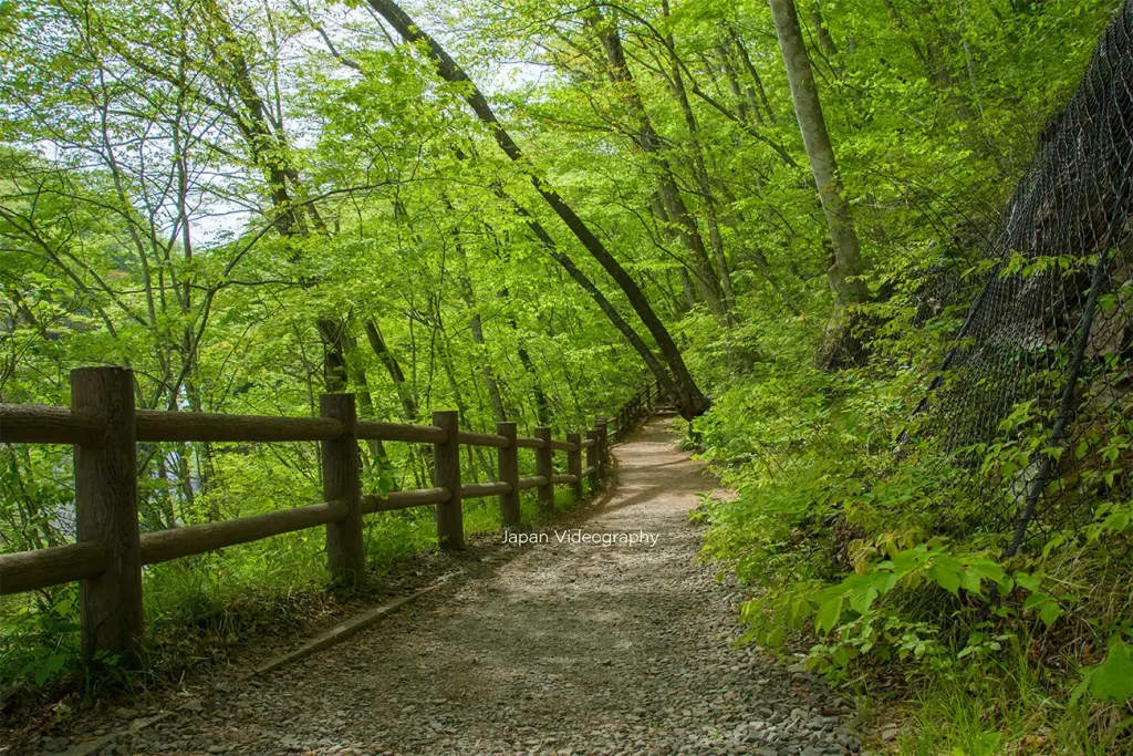 秋保大滝の遊歩道と新緑が美しい風景