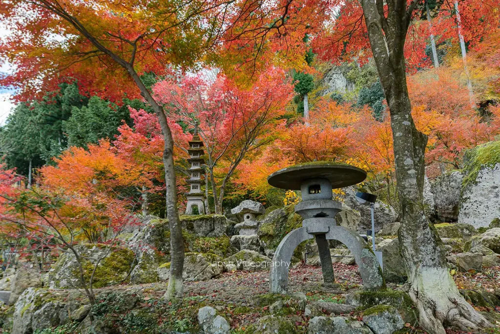 天守閣自然公園 秋保石と紅葉の風景