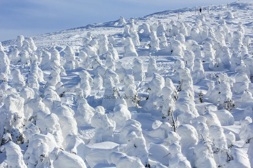 蔵王の樹氷の風景