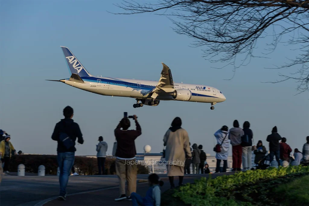 成田市さくらの山公園の風景と成田国際空港に着陸する飛行機