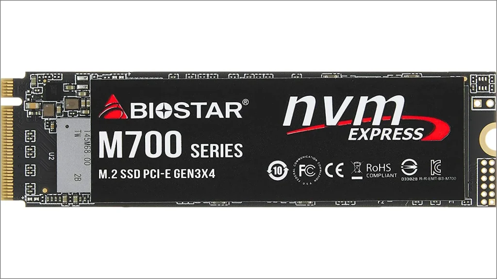 BIOSTAR M.2 NVMe Gen3×4 対応SSD 1 TB [ M700-1TB ]