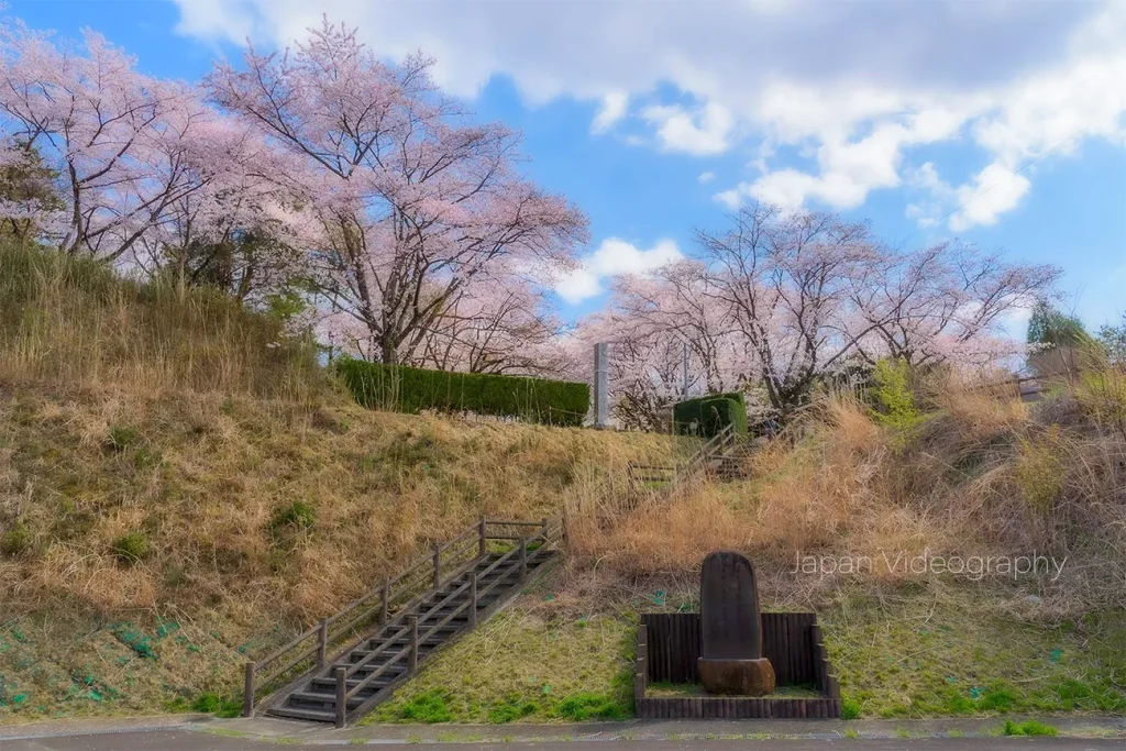 雷神山古墳の駐車場から眺める桜
