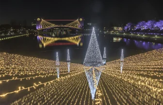 水辺を彩る3万球の光！環水公園スイートイルミネーション | 富山県富山市