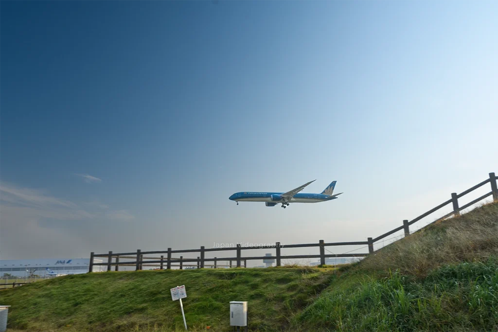 千葉県芝山町 ひこうきの丘 着陸する飛行機