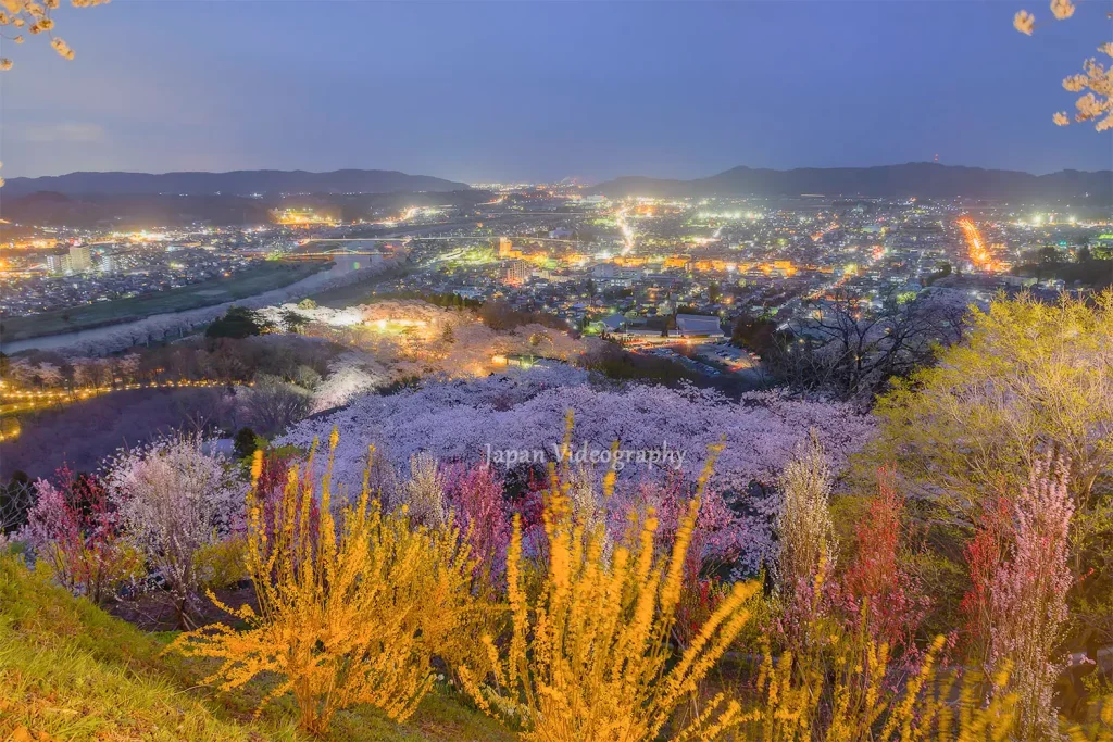 船岡城址公園の夜桜と夜景