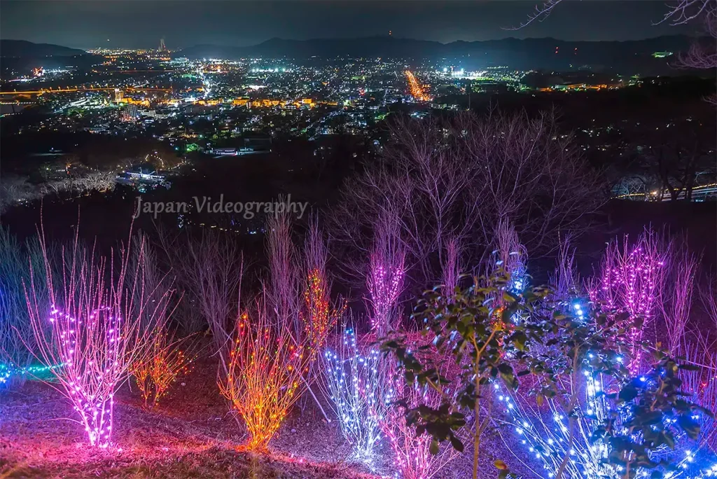 船岡城址公園Shibata Fantasy Illuminationと夜景